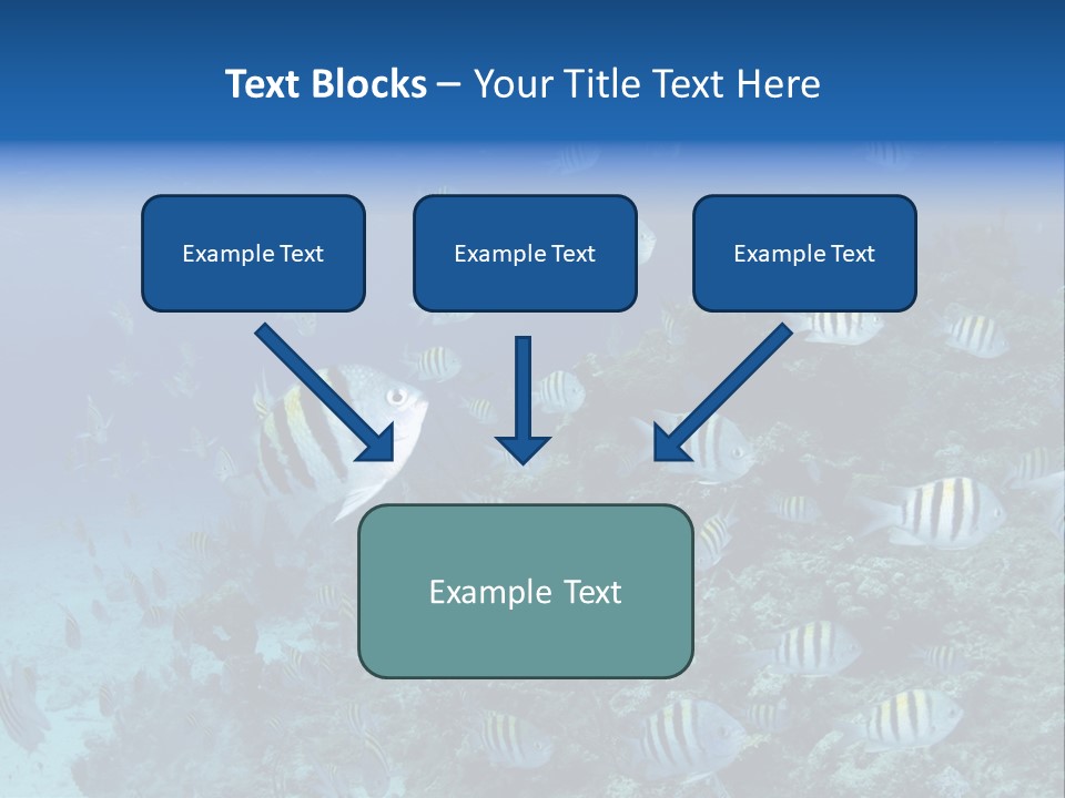 Sergeant Water Holiday PowerPoint Template