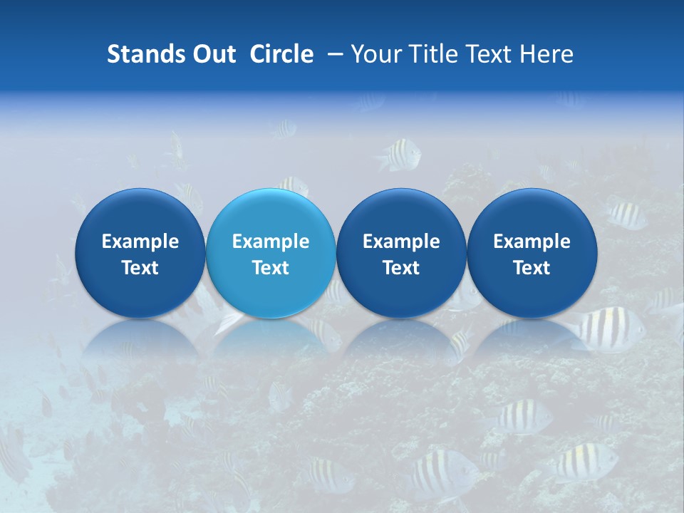 Sergeant Water Holiday PowerPoint Template