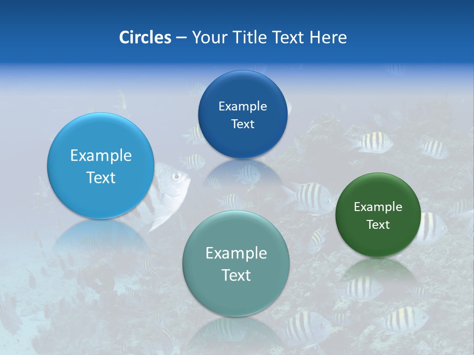 Sergeant Water Holiday PowerPoint Template
