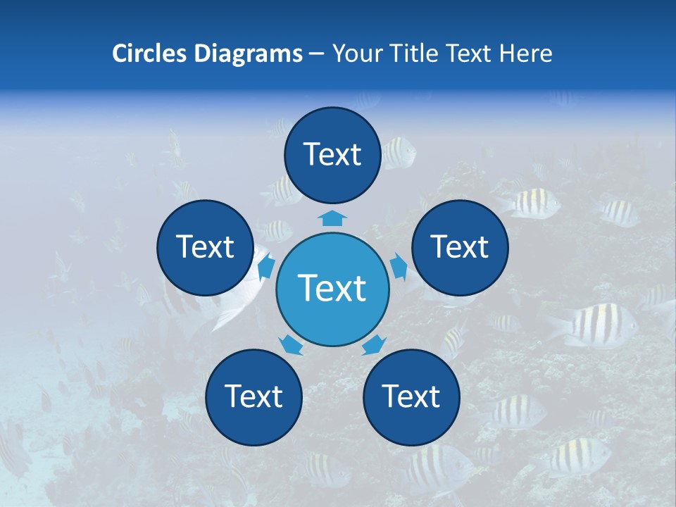 Sergeant Water Holiday PowerPoint Template