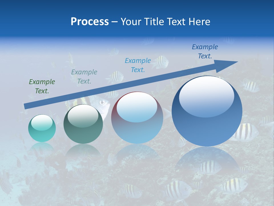 Sergeant Water Holiday PowerPoint Template