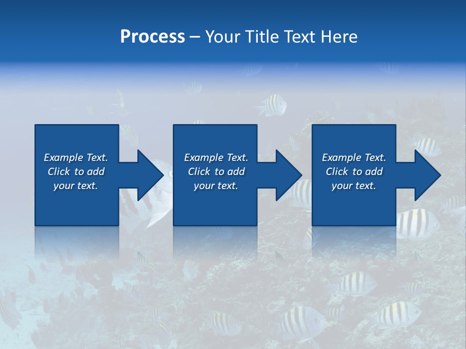 Sergeant Water Holiday PowerPoint Template