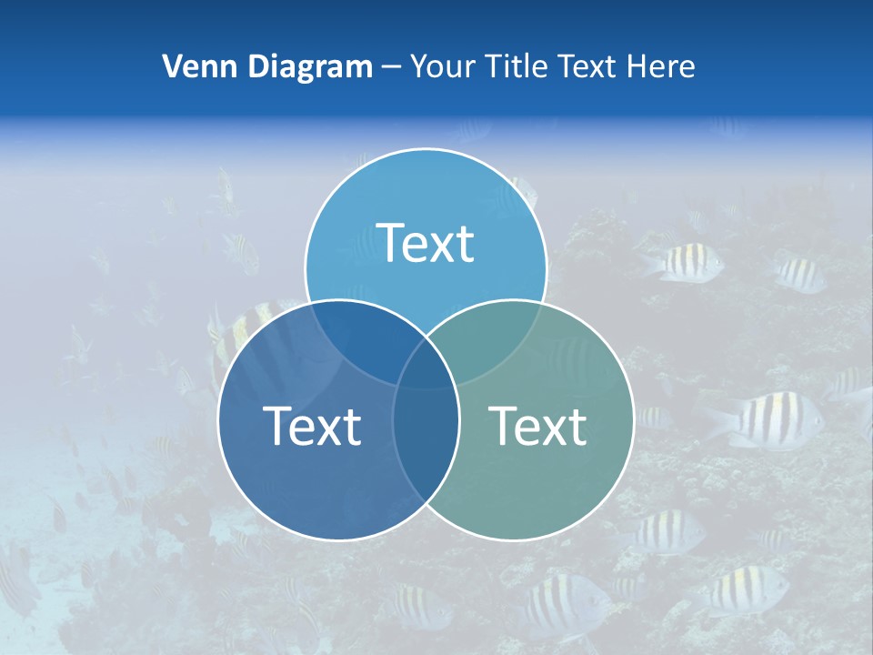 Sergeant Water Holiday PowerPoint Template