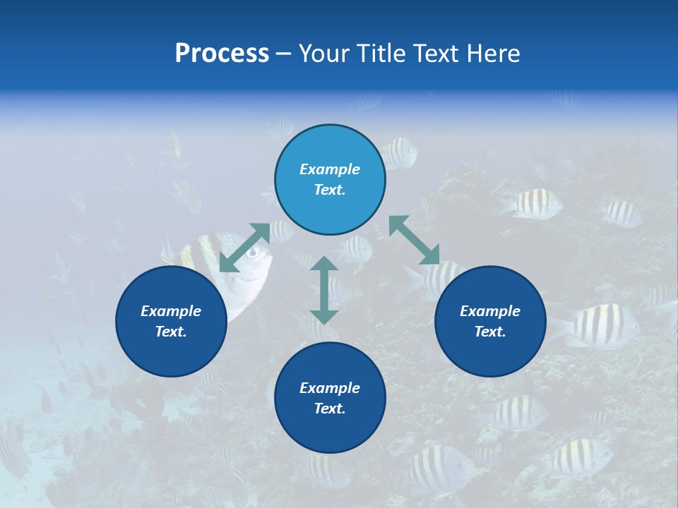 Sergeant Water Holiday PowerPoint Template