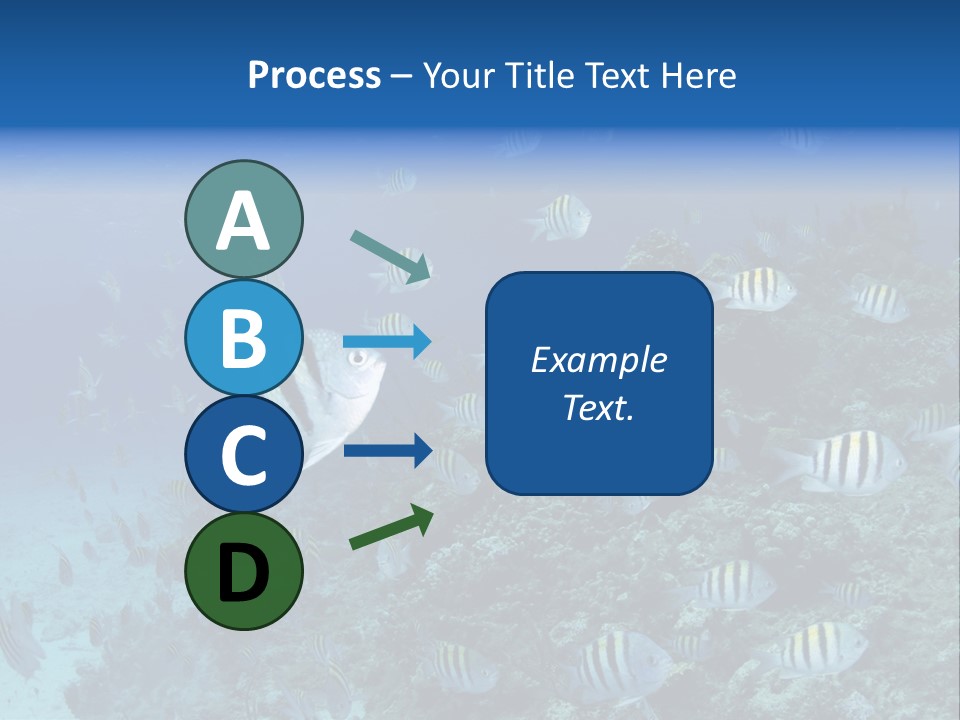 Sergeant Water Holiday PowerPoint Template