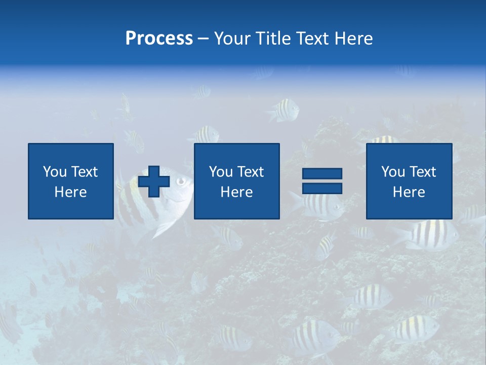 Sergeant Water Holiday PowerPoint Template