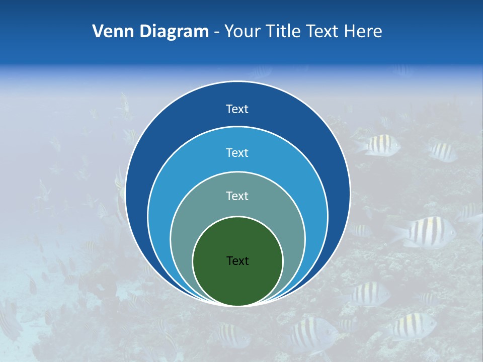 Sergeant Water Holiday PowerPoint Template