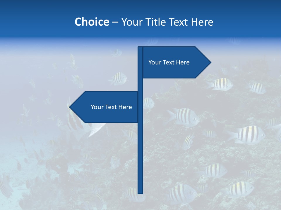 Sergeant Water Holiday PowerPoint Template