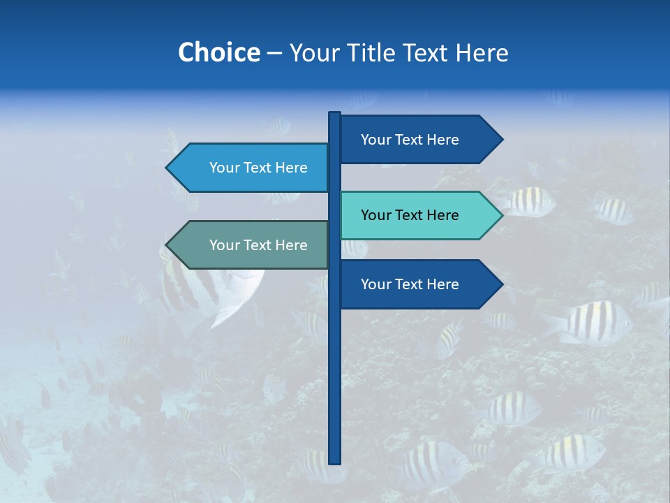 Sergeant Water Holiday PowerPoint Template