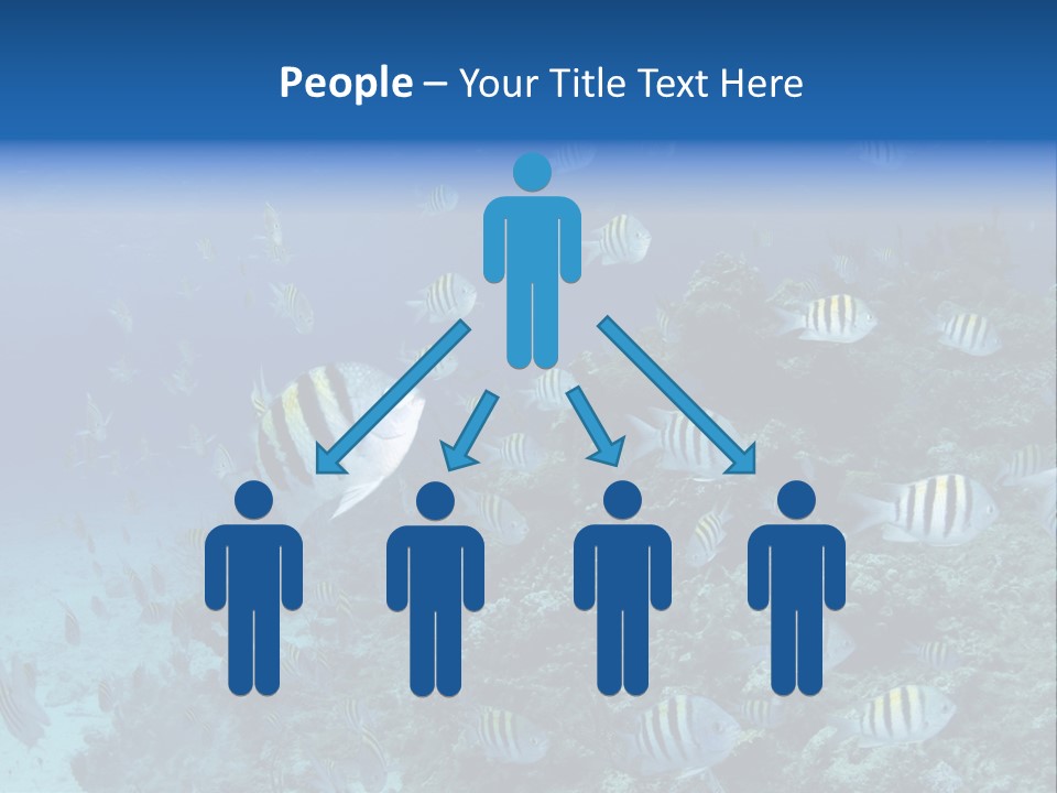 Sergeant Water Holiday PowerPoint Template