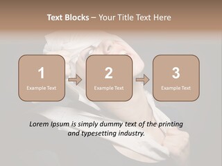 Paper Masquerade Young PowerPoint Template