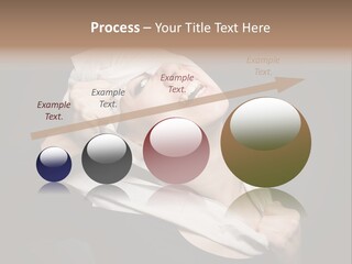 Paper Masquerade Young PowerPoint Template