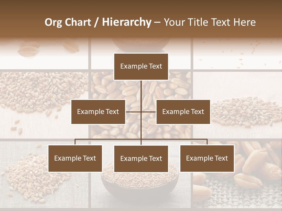 Bruciore Di Stomaco PowerPoint Template