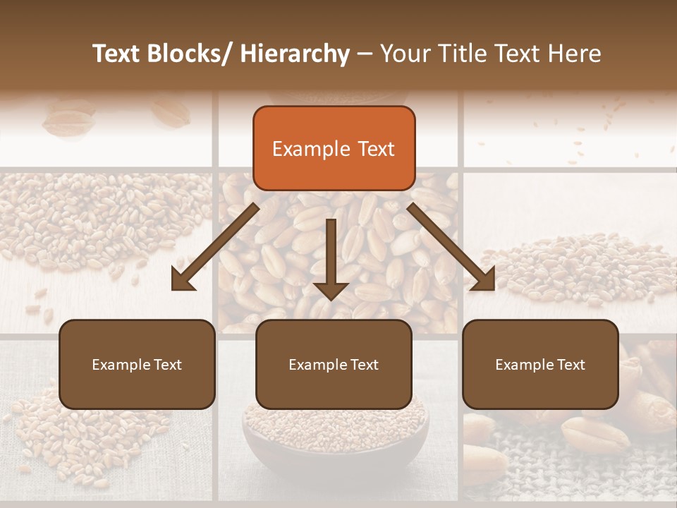 Bruciore Di Stomaco PowerPoint Template