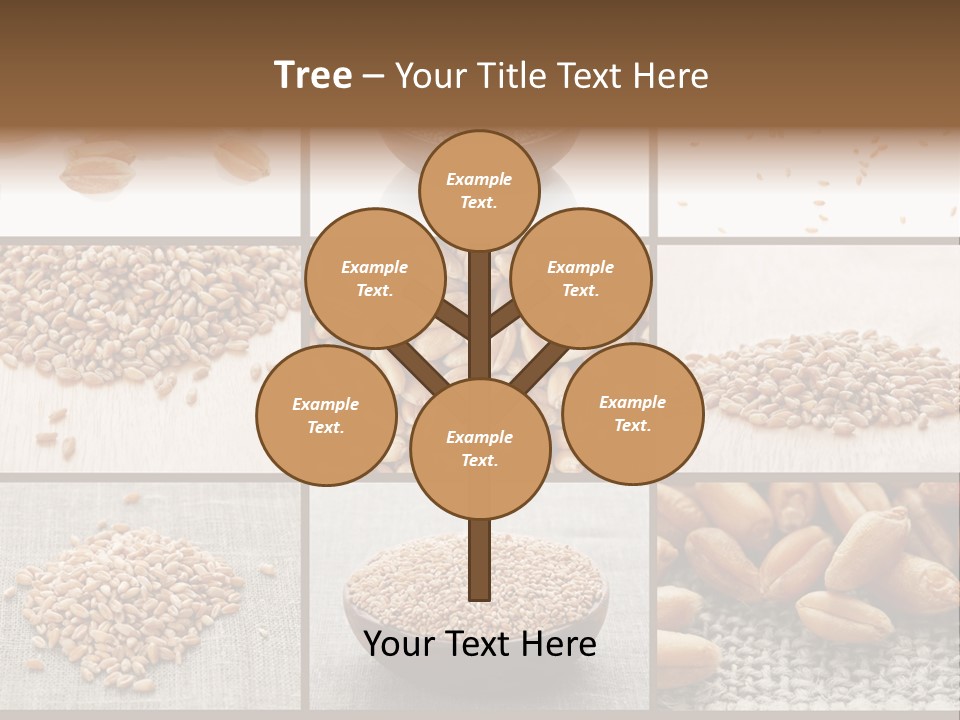 Bruciore Di Stomaco PowerPoint Template