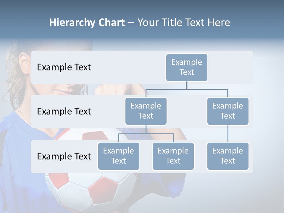 Fm Group Katalogi PowerPoint Template