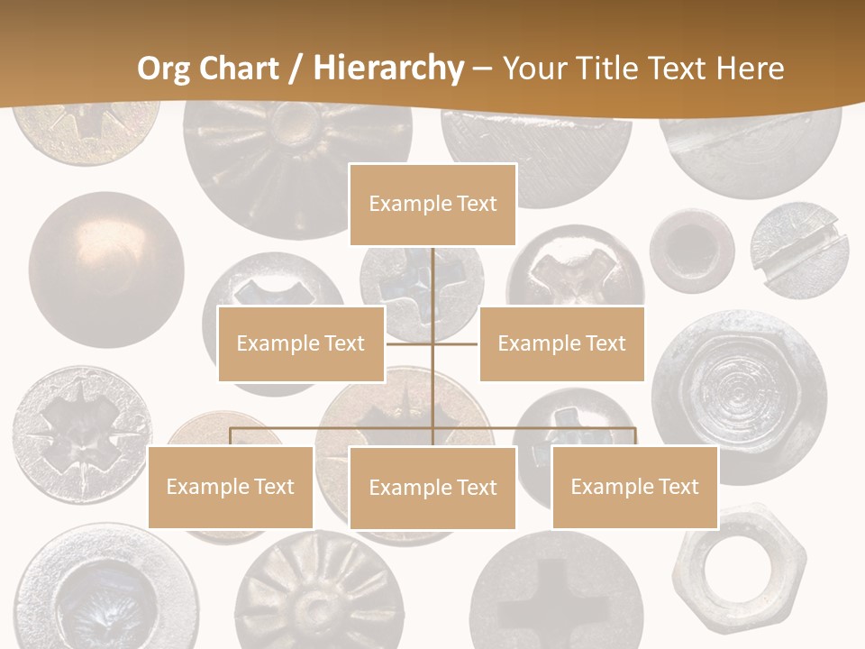 Screw Heads PowerPoint Template