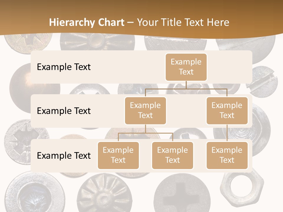 Screw Heads PowerPoint Template