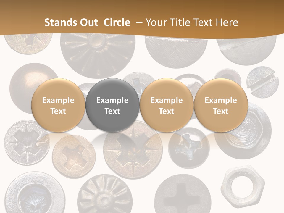 Screw Heads PowerPoint Template