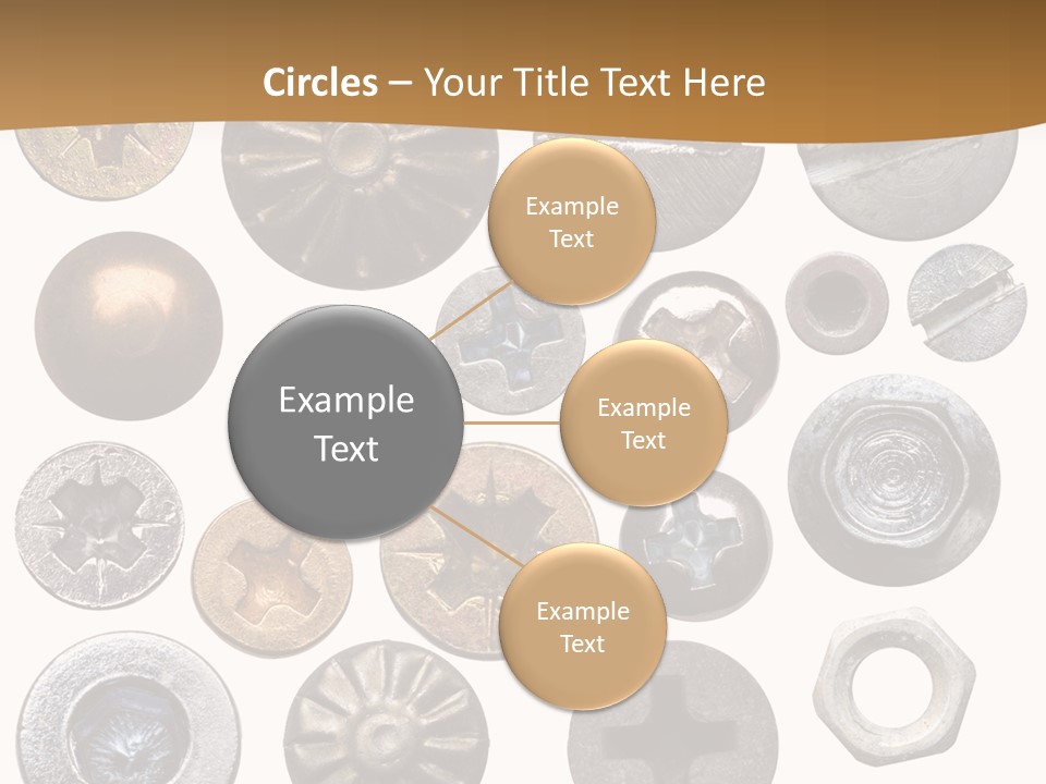 Screw Heads PowerPoint Template