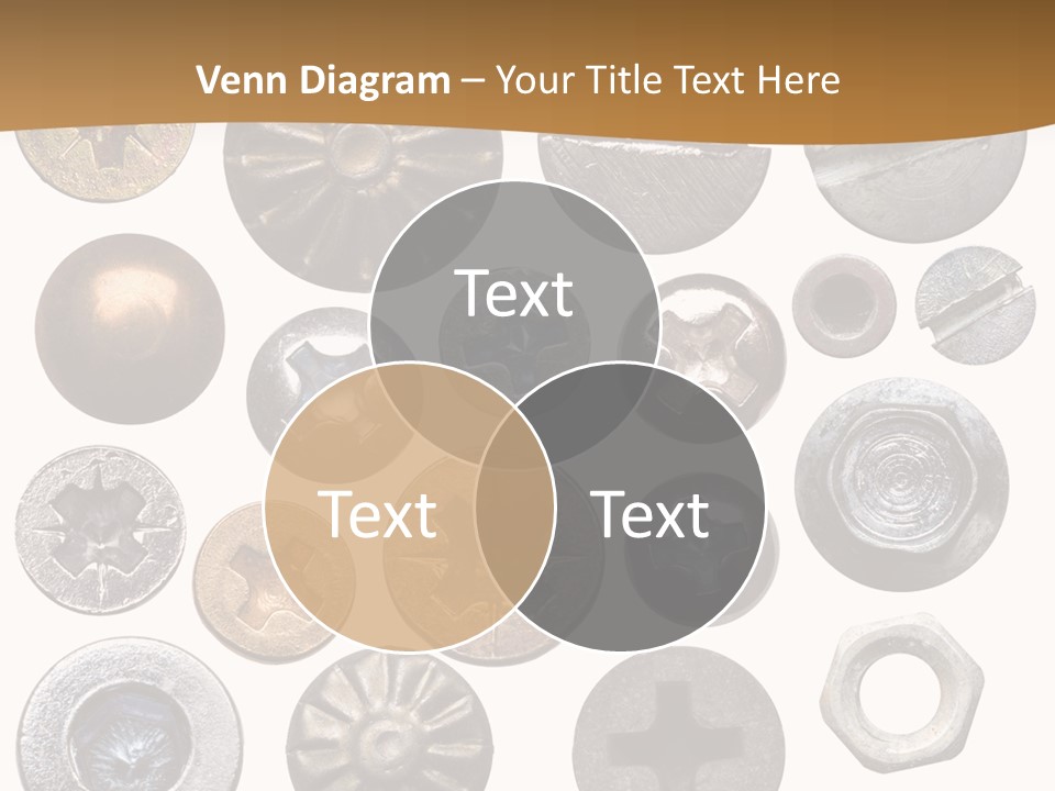 Screw Heads PowerPoint Template