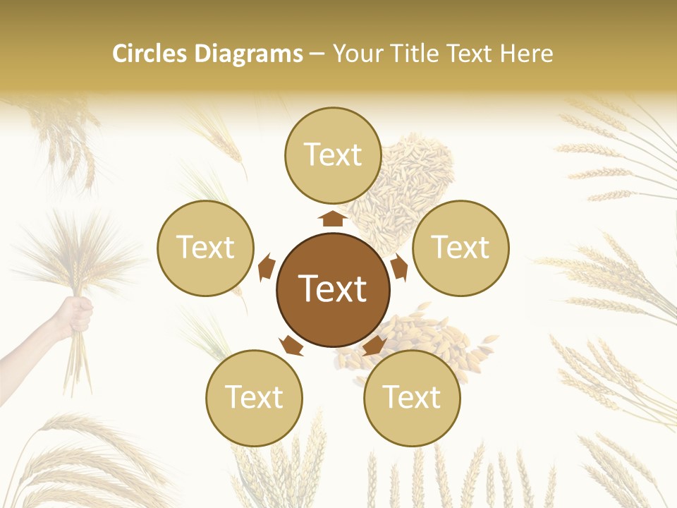 Light Small Beige PowerPoint Template