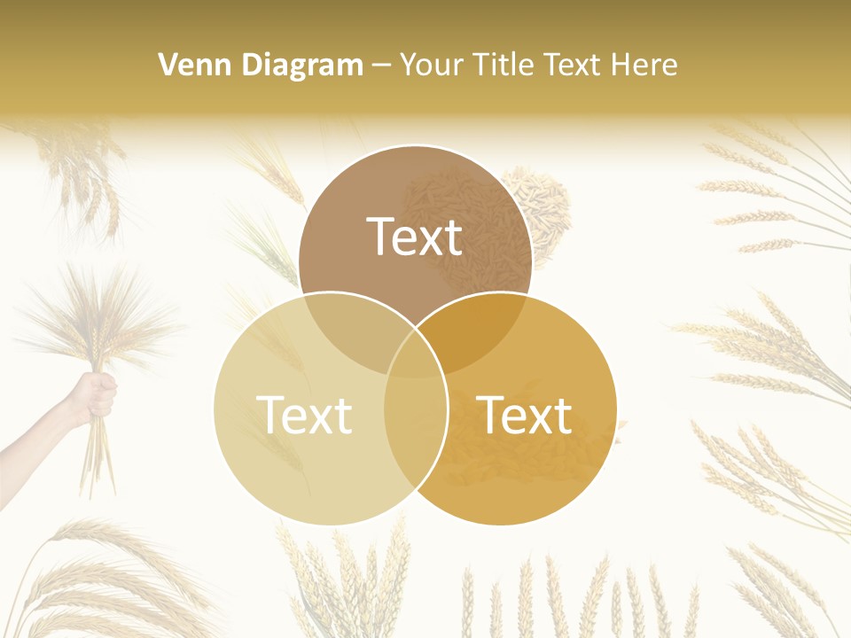 Light Small Beige PowerPoint Template