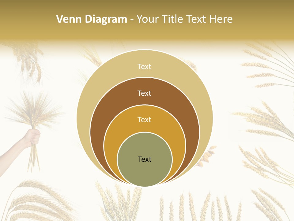 Light Small Beige PowerPoint Template