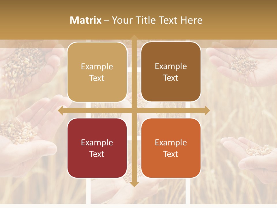 Collage Palm Harvesting PowerPoint Template