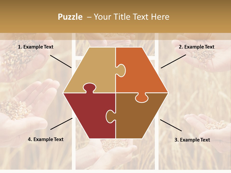 Collage Palm Harvesting PowerPoint Template