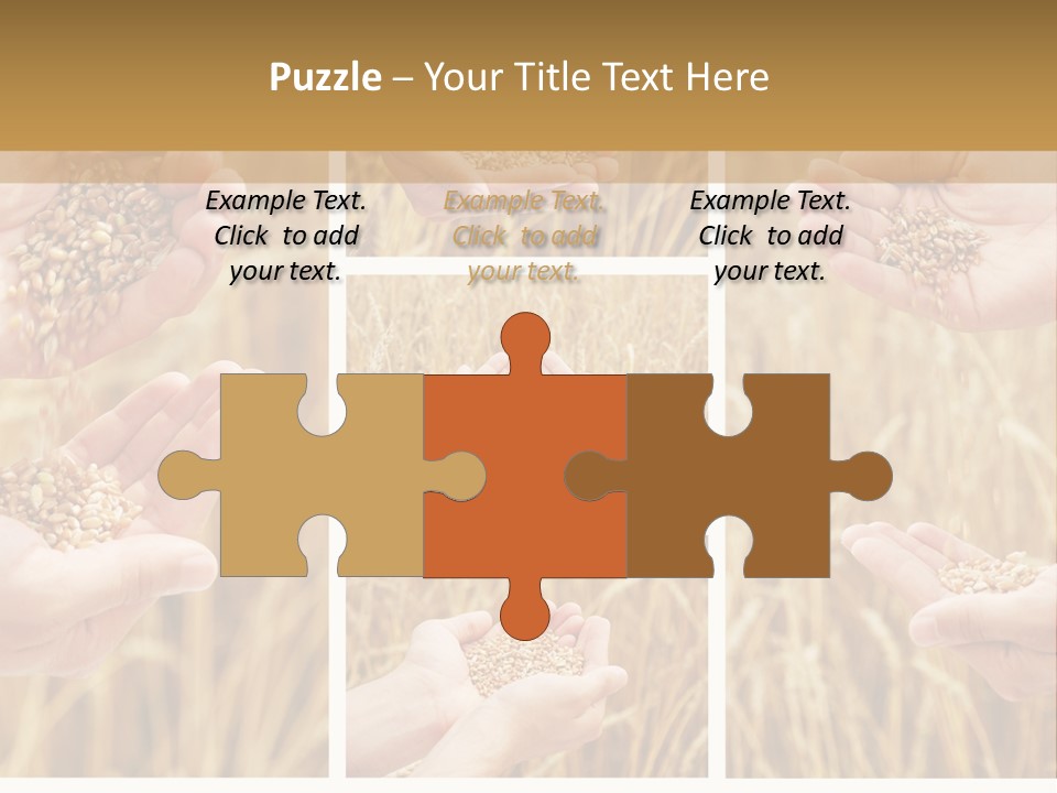 Collage Palm Harvesting PowerPoint Template