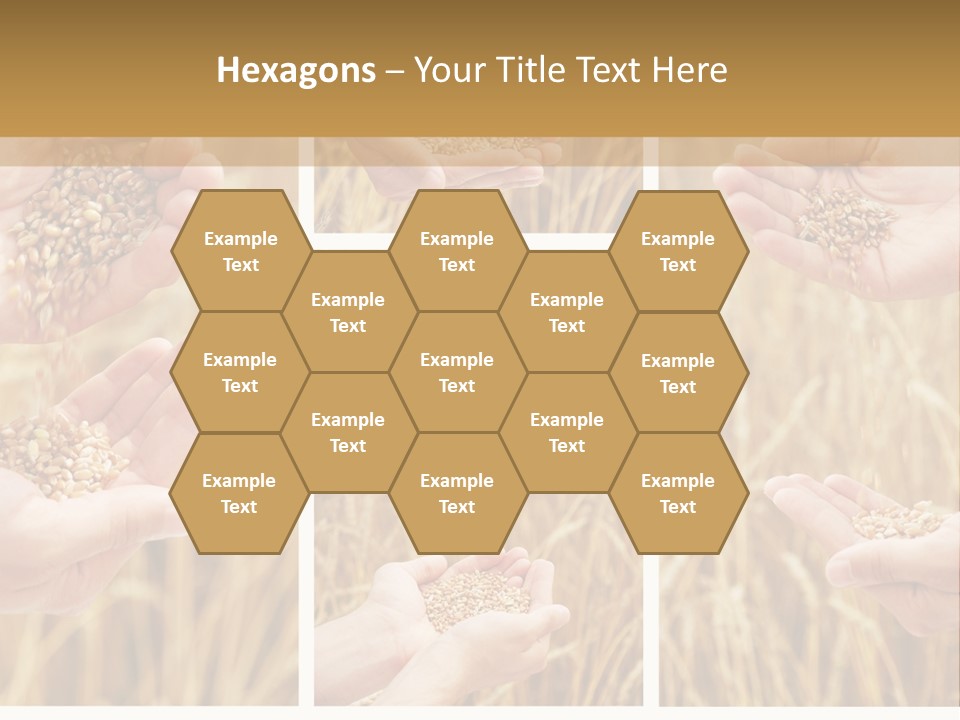 Collage Palm Harvesting PowerPoint Template