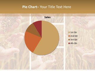 Collage Palm Harvesting PowerPoint Template