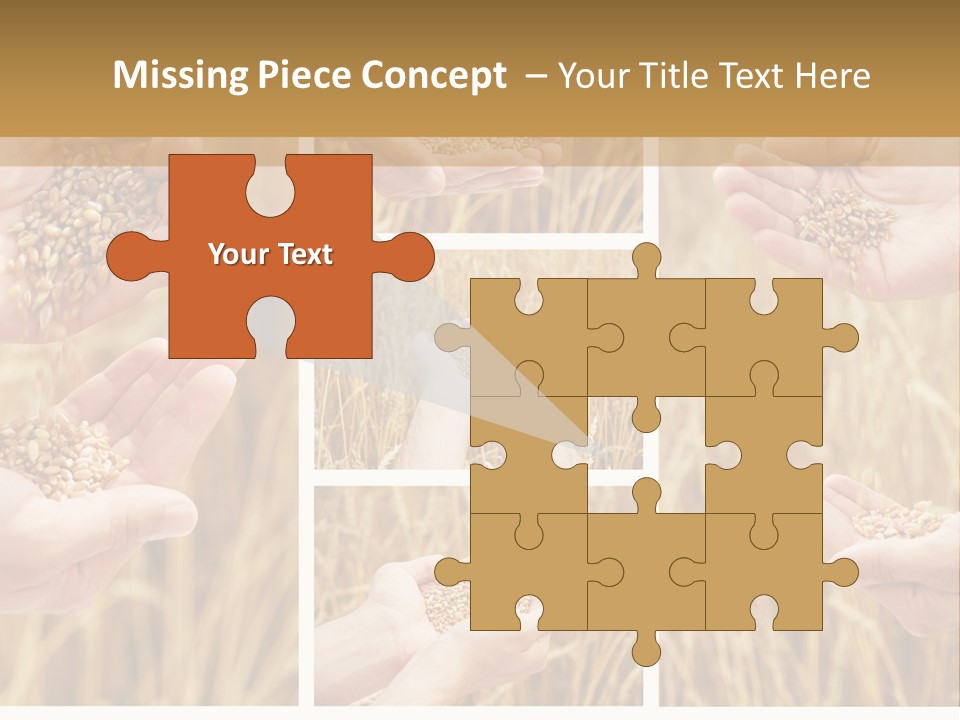 Collage Palm Harvesting PowerPoint Template