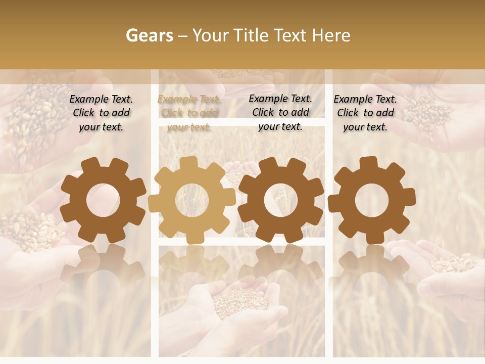 Collage Palm Harvesting PowerPoint Template