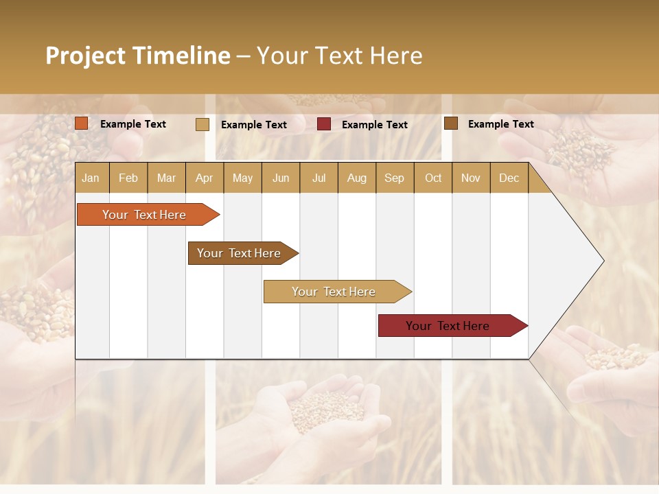 Collage Palm Harvesting PowerPoint Template
