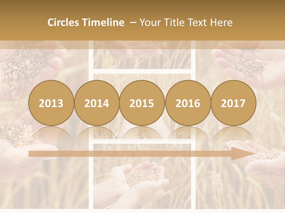 Collage Palm Harvesting PowerPoint Template