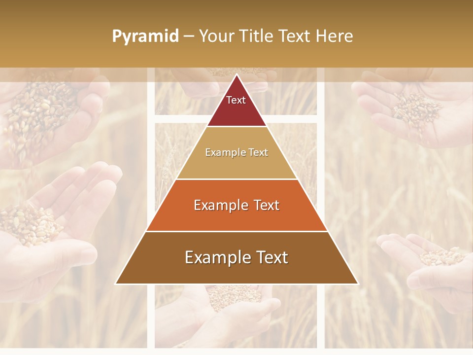 Collage Palm Harvesting PowerPoint Template