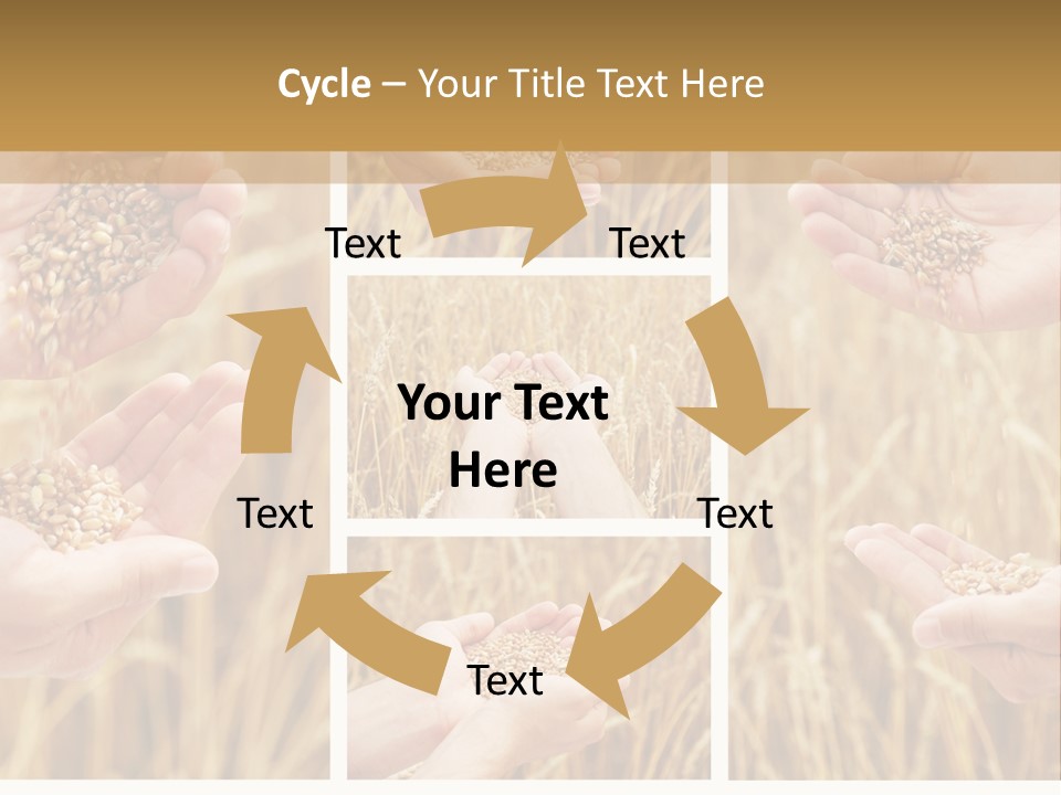 Collage Palm Harvesting PowerPoint Template