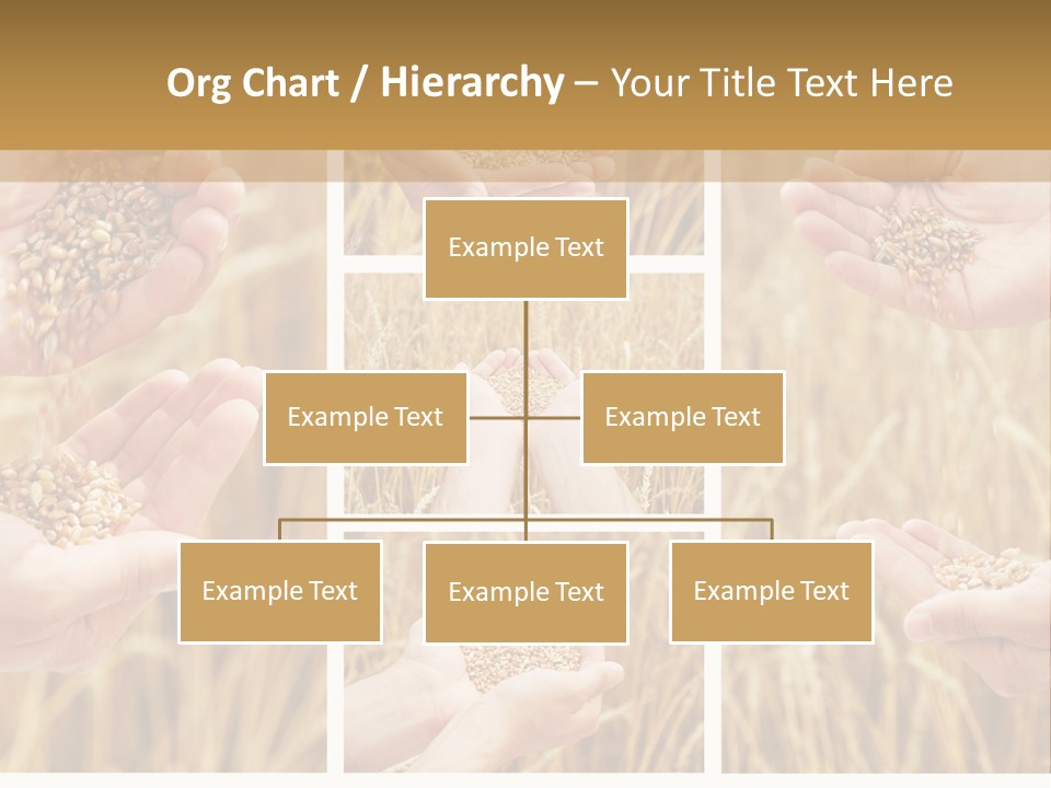 Collage Palm Harvesting PowerPoint Template