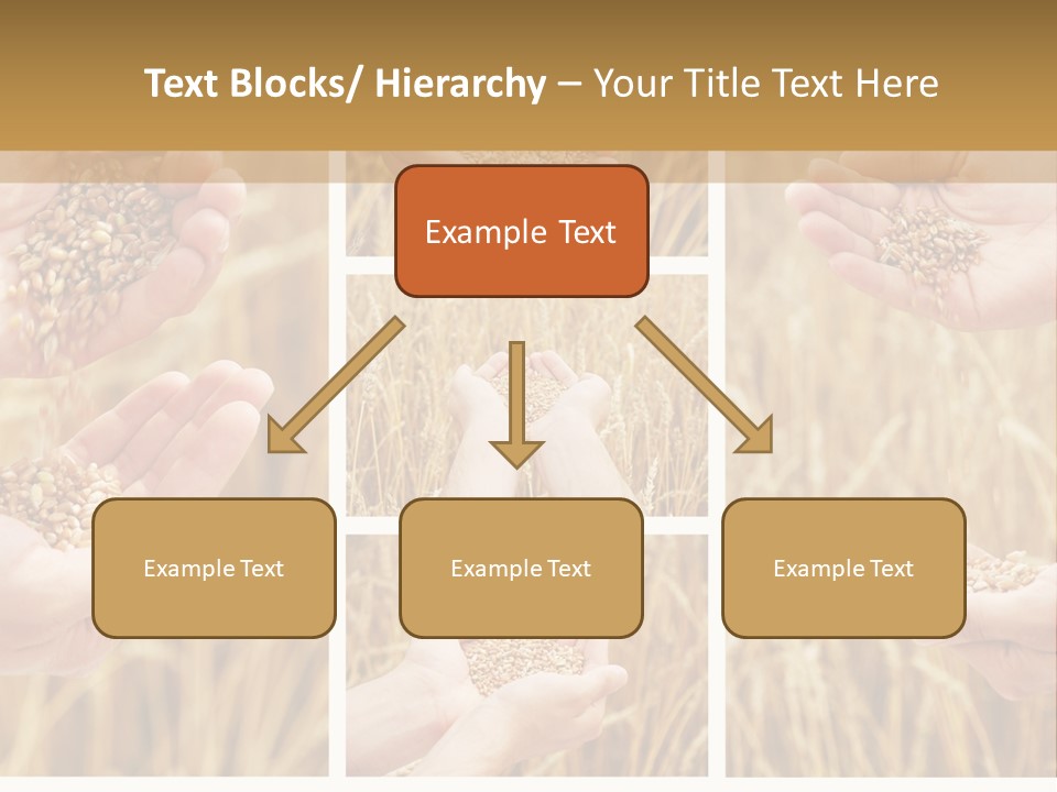 Collage Palm Harvesting PowerPoint Template