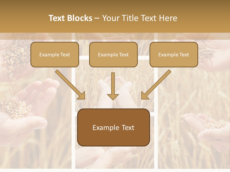 Collage Palm Harvesting PowerPoint Template