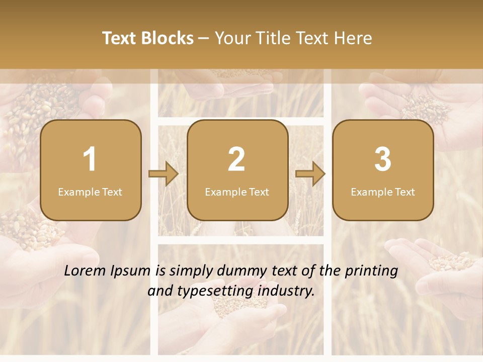 Collage Palm Harvesting PowerPoint Template