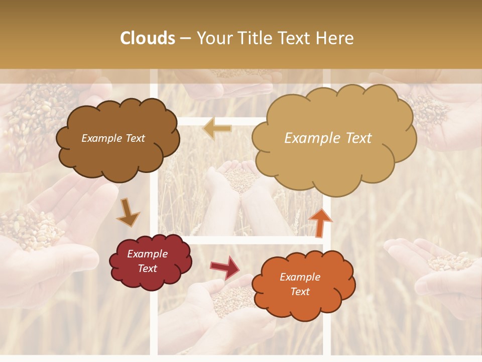 Collage Palm Harvesting PowerPoint Template