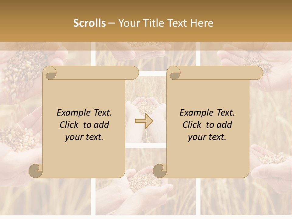 Collage Palm Harvesting PowerPoint Template