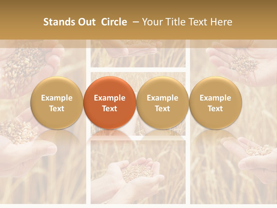 Collage Palm Harvesting PowerPoint Template