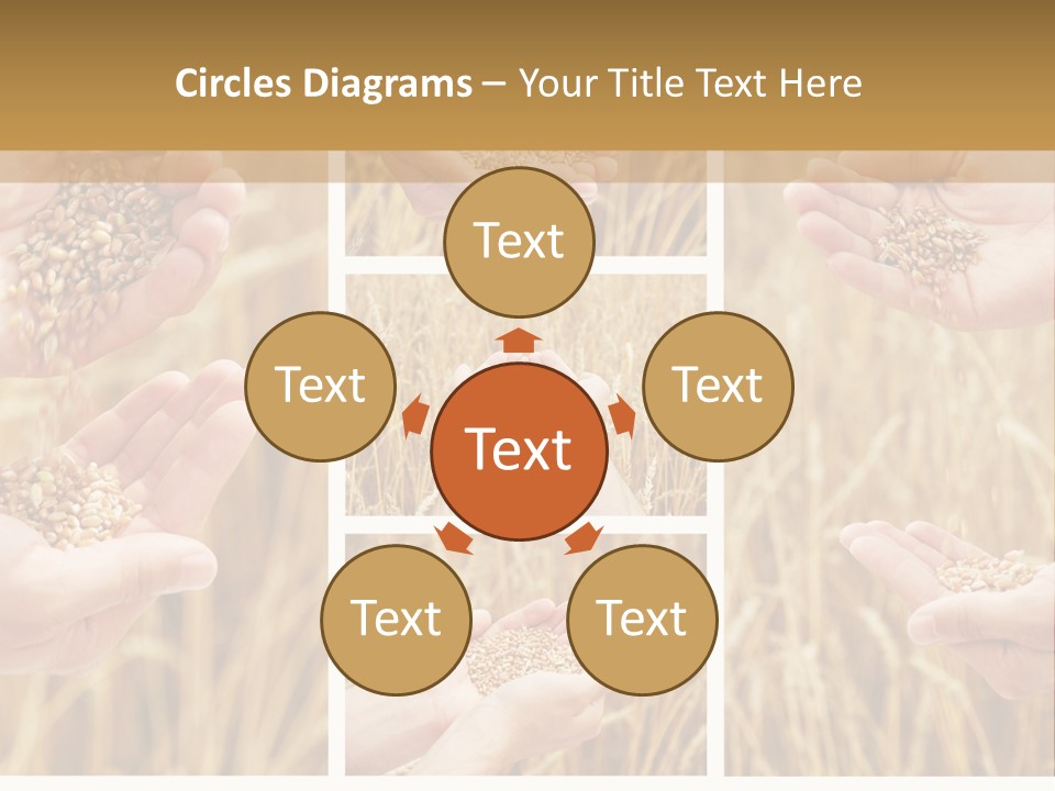 Collage Palm Harvesting PowerPoint Template