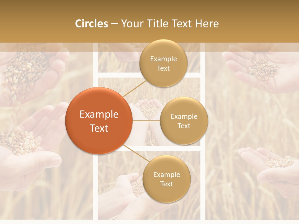 Collage Palm Harvesting PowerPoint Template