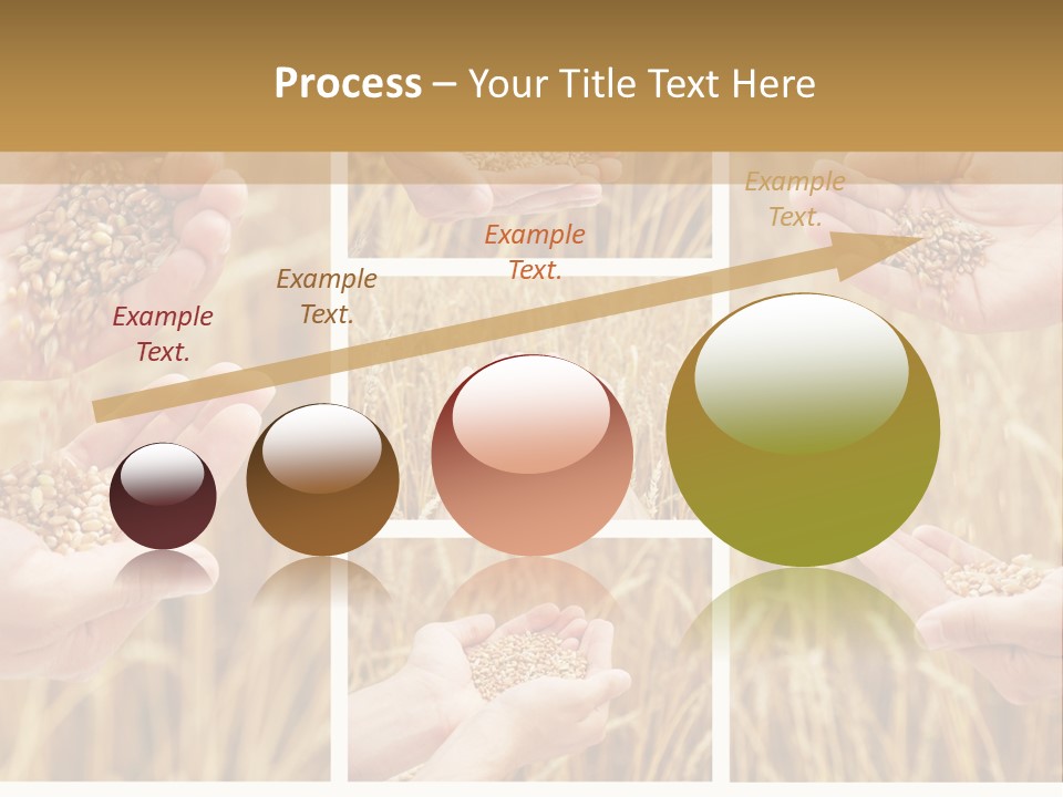 Collage Palm Harvesting PowerPoint Template