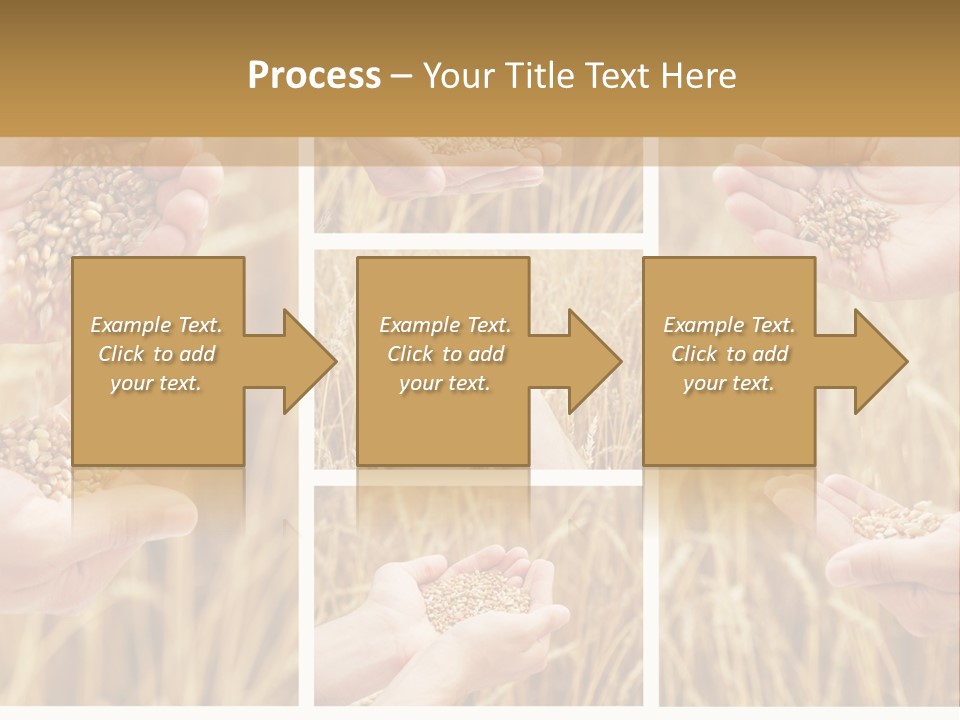 Collage Palm Harvesting PowerPoint Template
